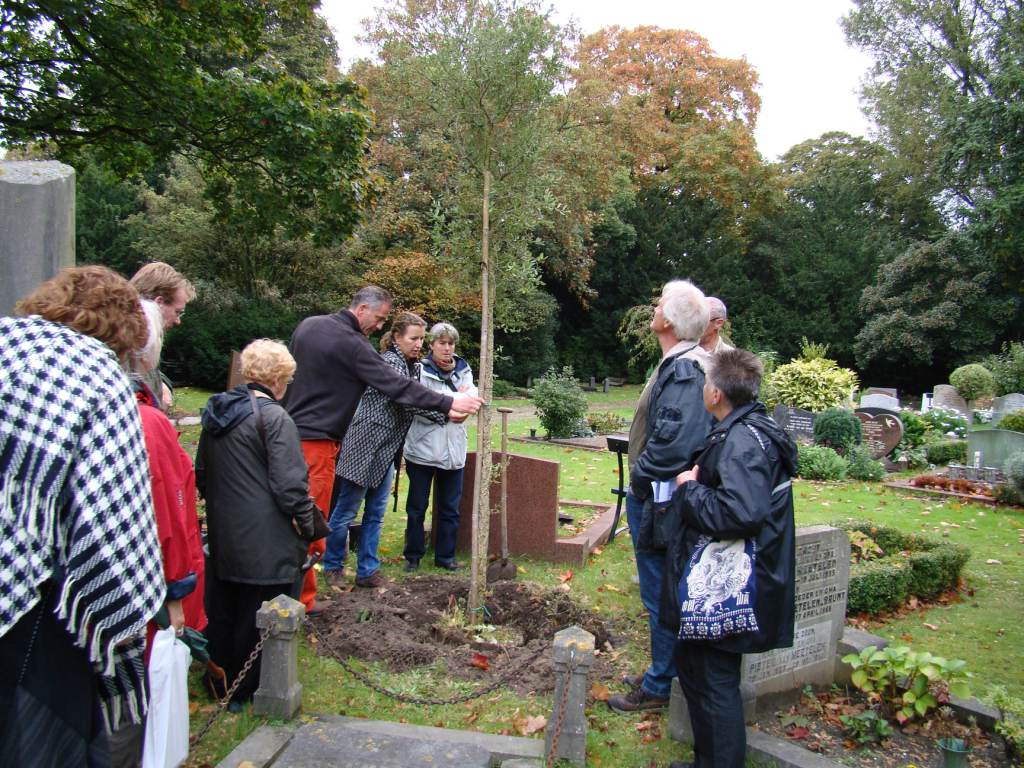 planten kurkeik vak 6